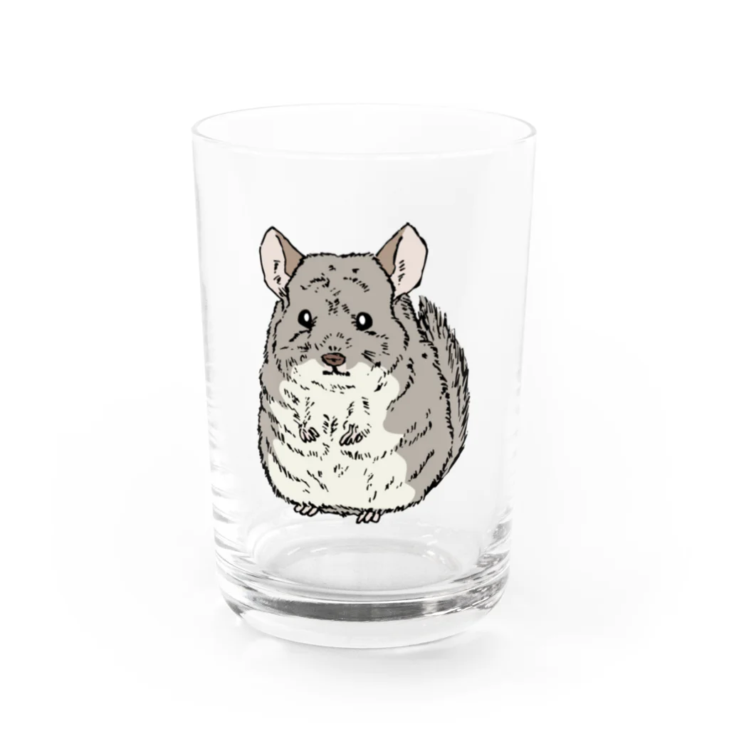 tanuki_msのチンチラ Water Glass :front