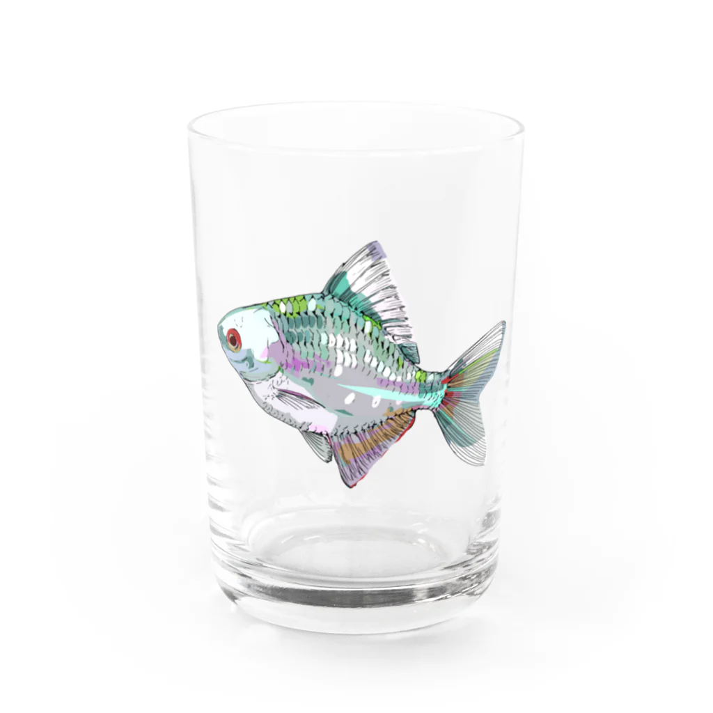 恒福水路のタイリクバラタナゴグラス Water Glass :front