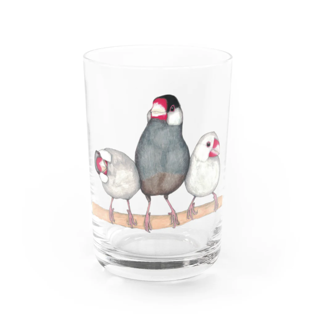 森図鑑の[森図鑑] 三羽文鳥 Water Glass :front