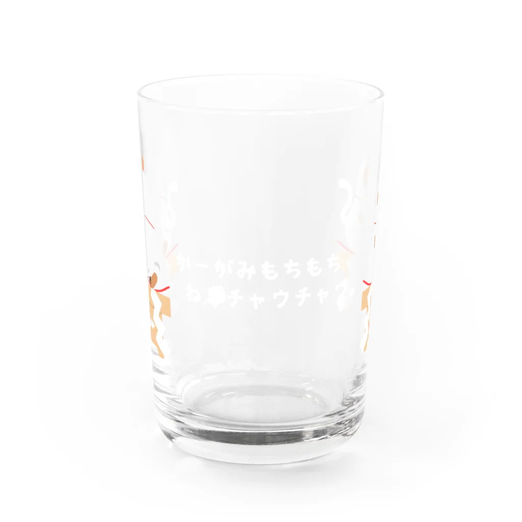 Qooroの鏡もちに扮した猫かぶりチャウさん Water Glass :front