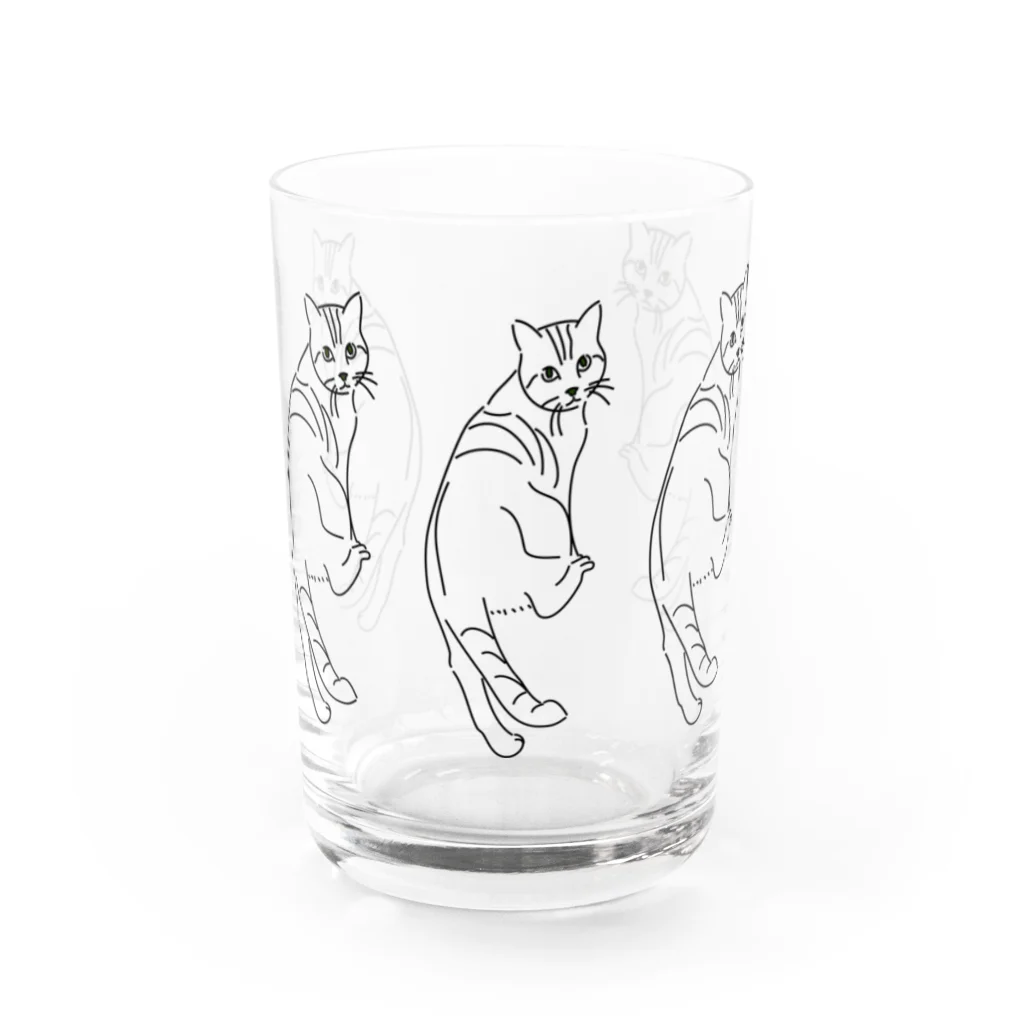 amu-toの5連キメねこ Water Glass :front