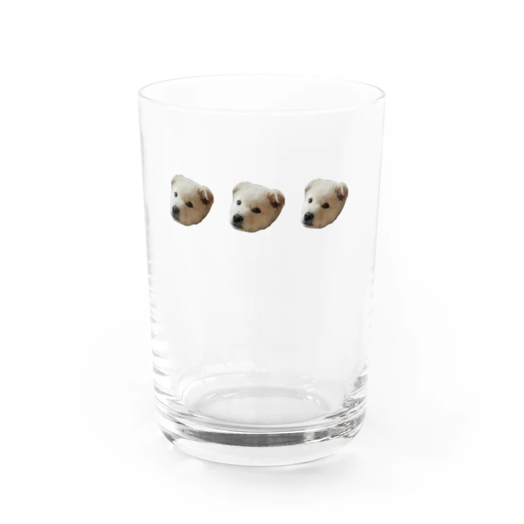 ゴンのいぬ 3連 Water Glass :front