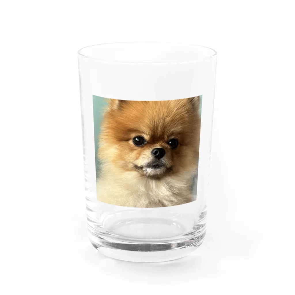 ももくんのお店のももくん Water Glass :front