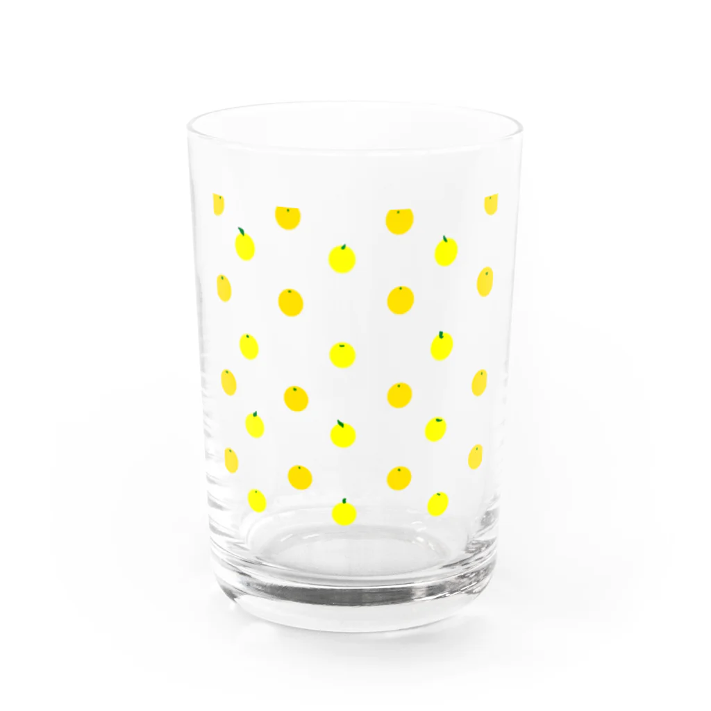 pochiの柑橘類 Water Glass :front