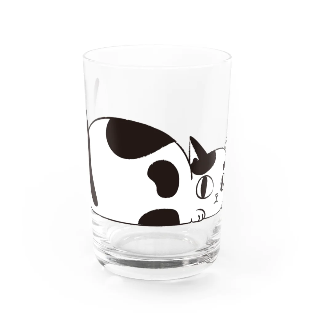 sen-no-momotsukuriのシュレーディンガーの猫の箱の1匹 Water Glass :front