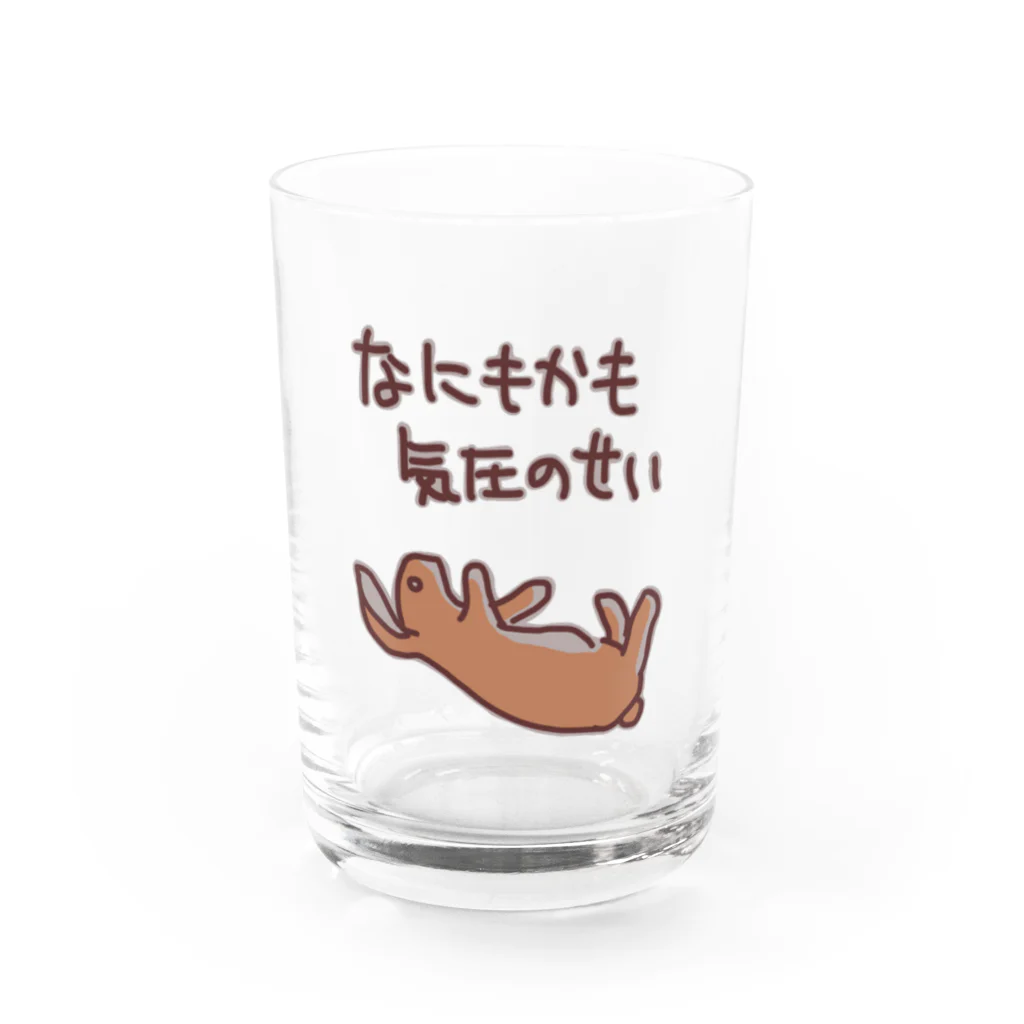 ミナミコアリクイ【のの】のなにもかも気圧のせい【うさぎ】 Water Glass :front