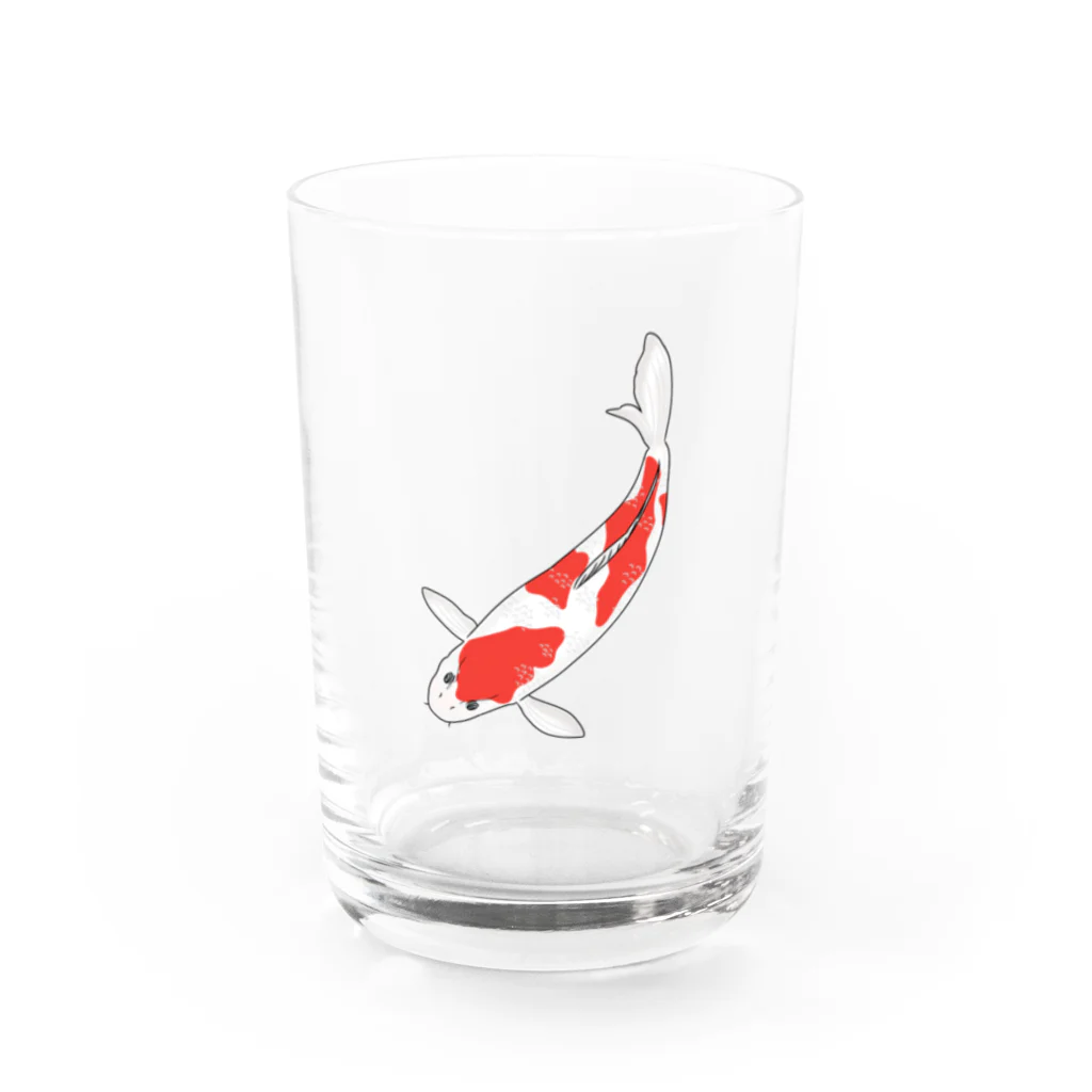 MAYAのアカシロ錦鯉 Water Glass :front