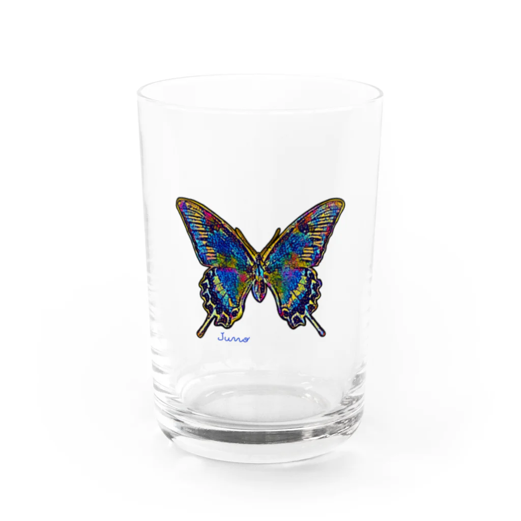 ジュノの秘密のアトリエのカラスアゲハ／Juno Water Glass :front