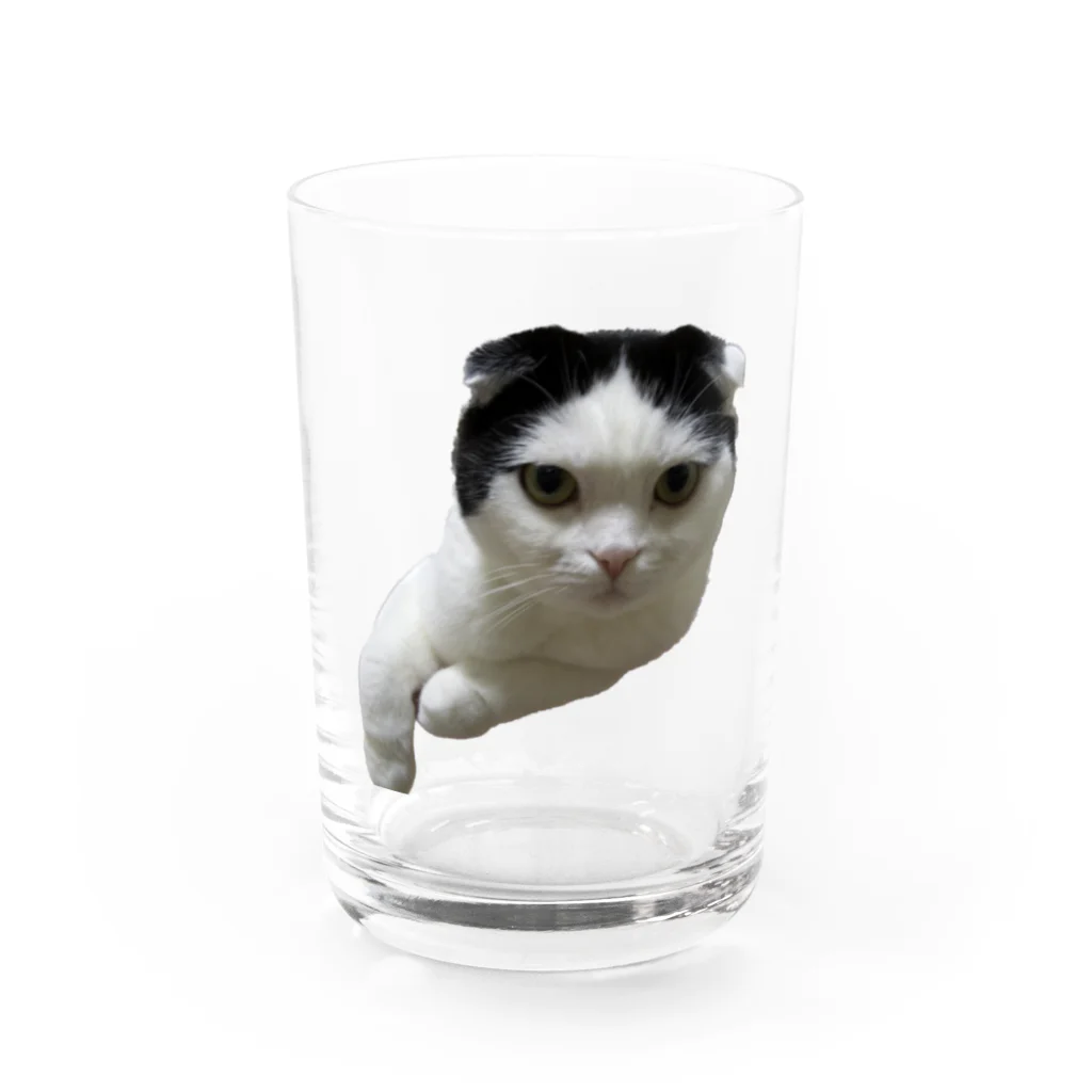 しゅり坊の真ん中分け　ちょび Water Glass :front