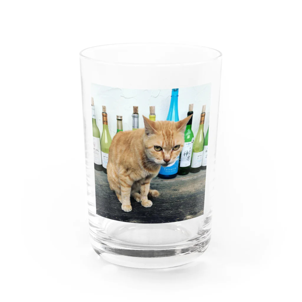 acobi'sの酒猫 Water Glass :front