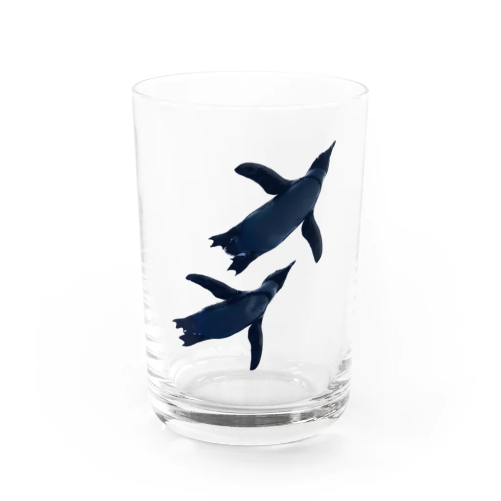 acobi'sの並んで泳ぐペンギン Water Glass :front