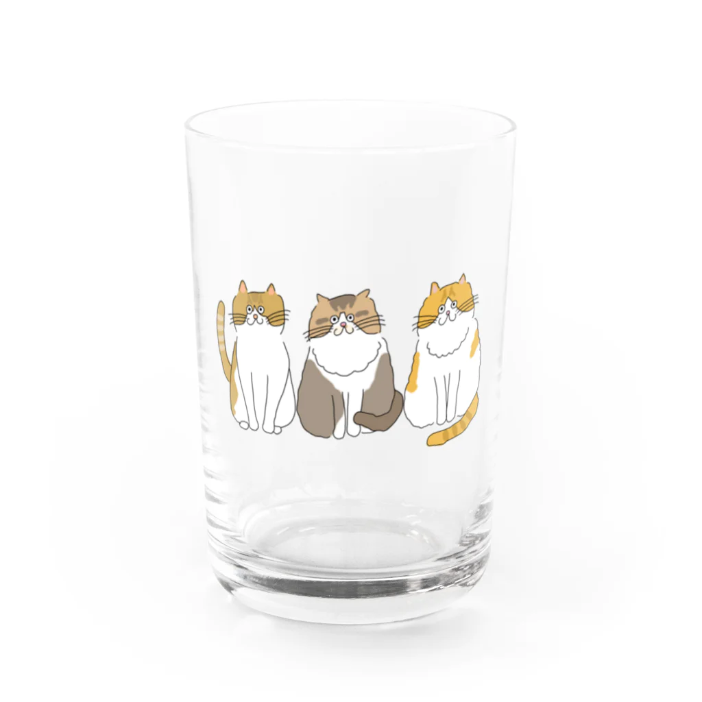 お髭ちゃんのおみせ。のふわふわ３にゃんず Water Glass :front