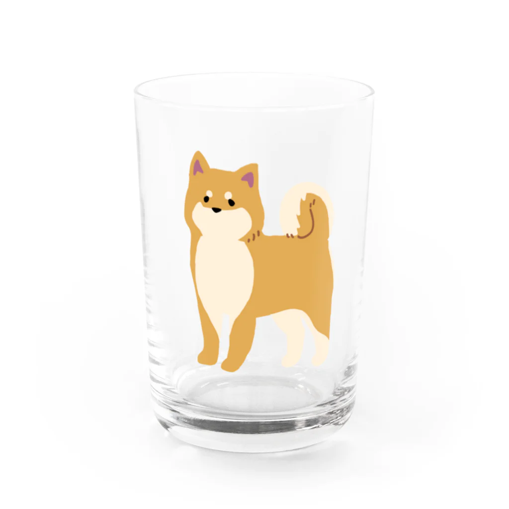 Kotetsu diary(SUZURI店)のゆるゆる柴犬 Water Glass :front