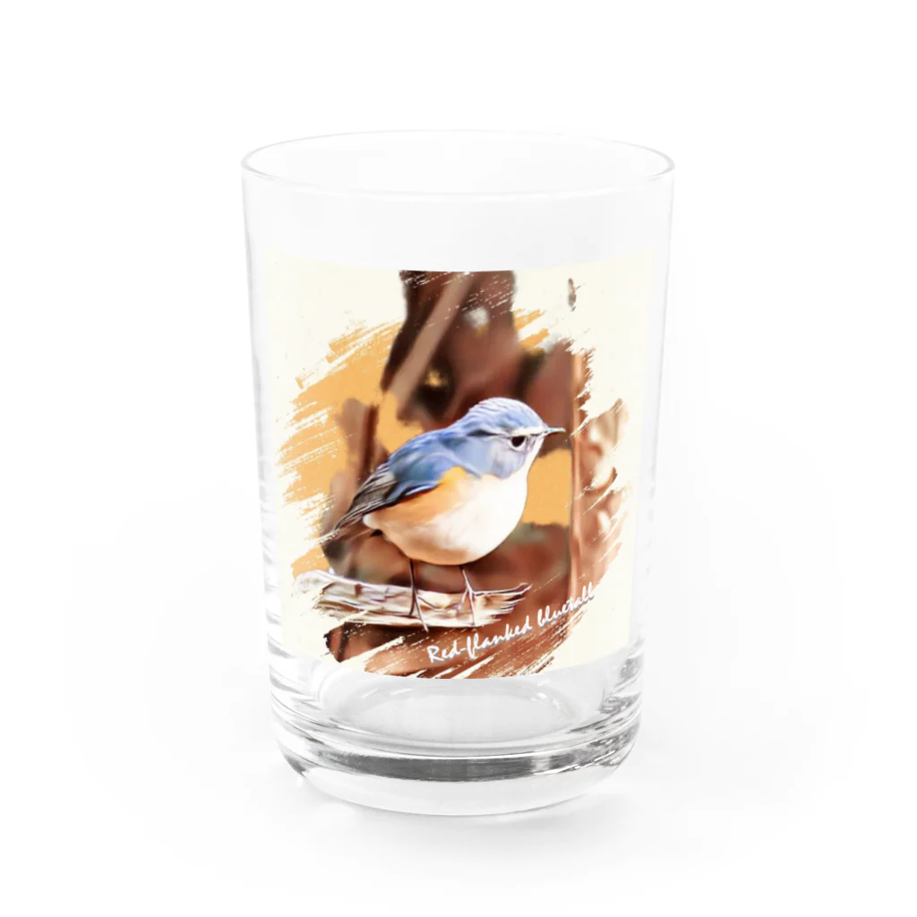 jun-hoshiのルリビタキ ♂ Water Glass :front