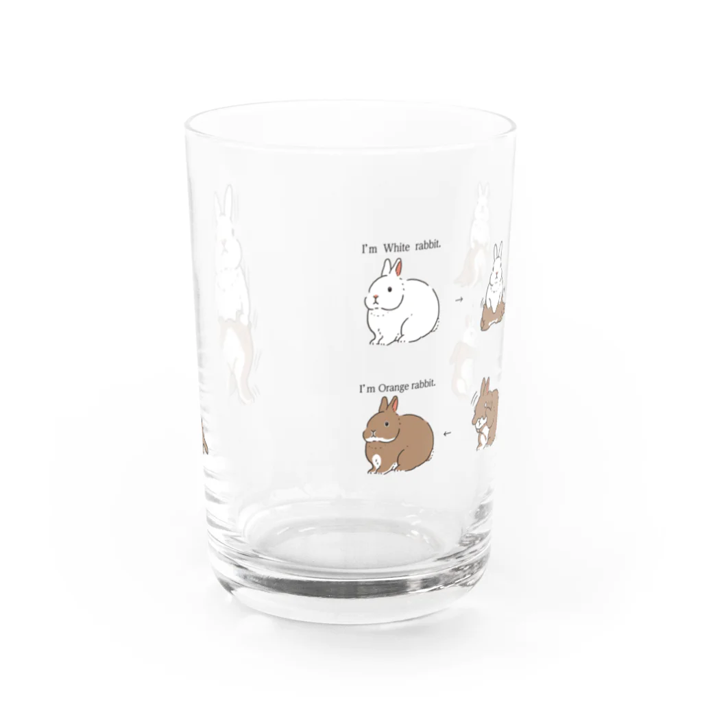 スタジオレッキスの白うさぎからオレンジうさぎに変身！（グラス） Water Glass :front