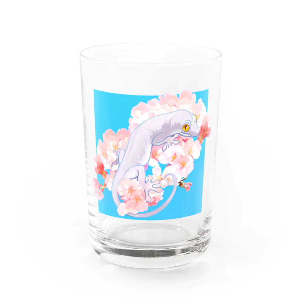 おにぎり屋の春待ち桜とニホンヤモリ Water Glass :front