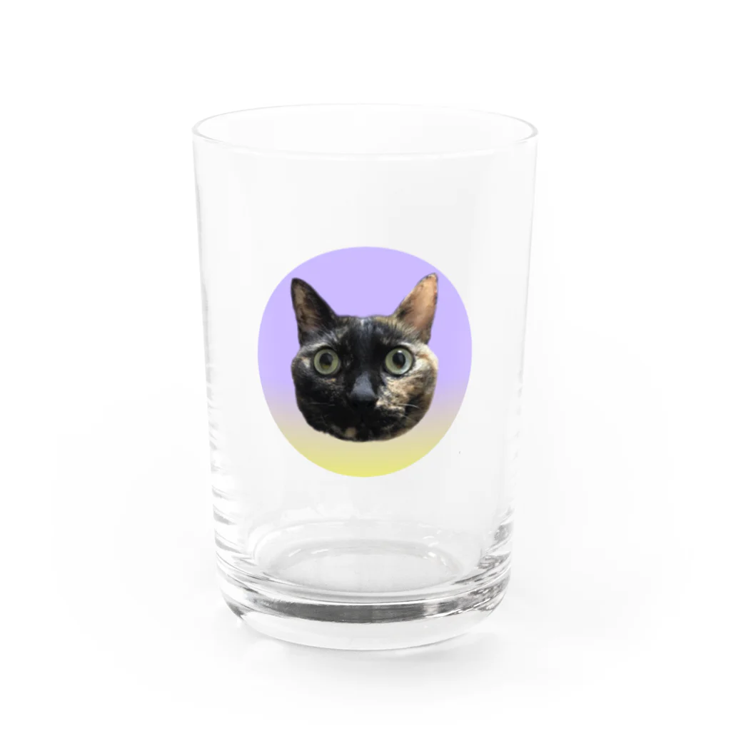 osuimono(ふーふのふ～)のきょとんとした猫 Water Glass :front