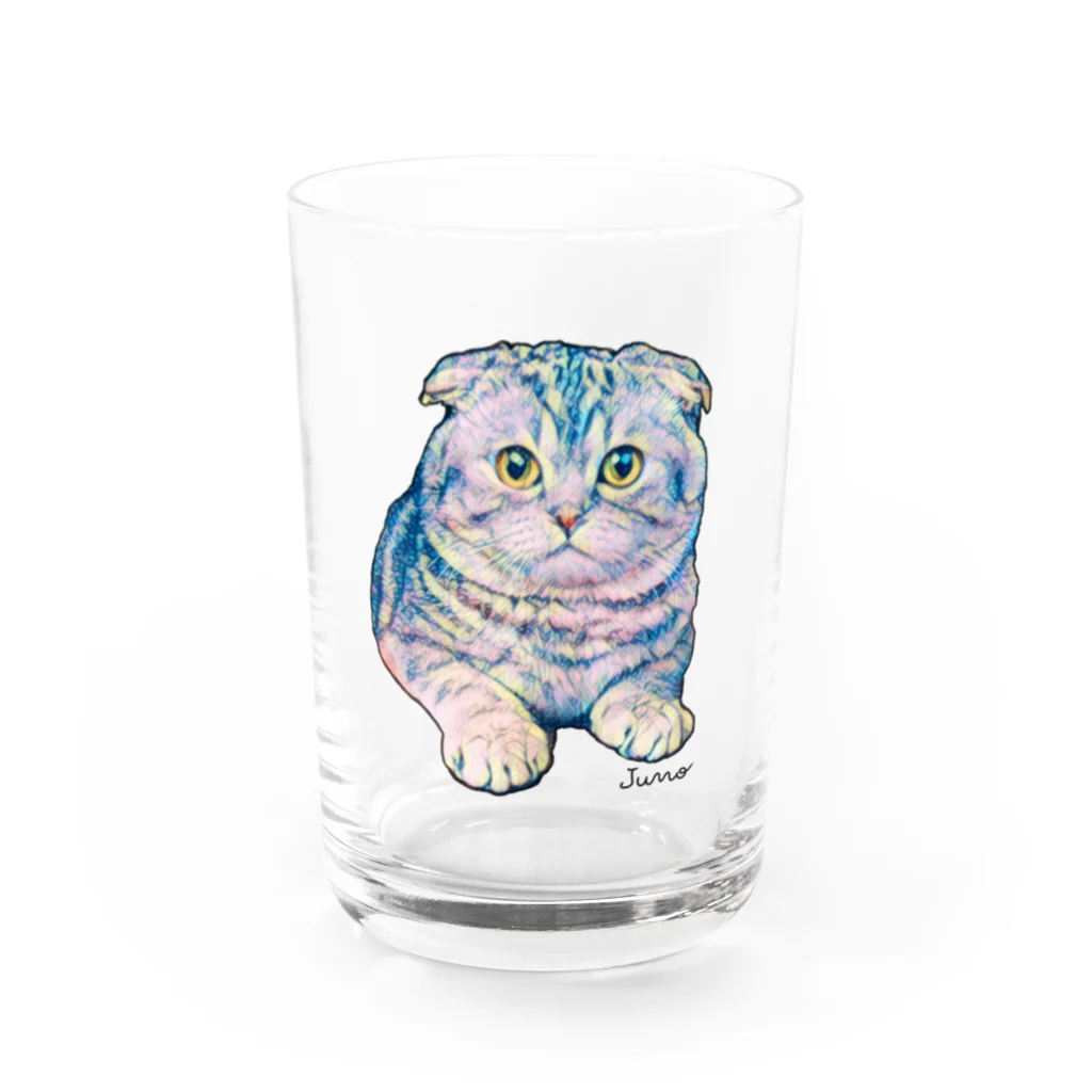 ジュノの秘密のアトリエのスコティッシュフォールド／Juno Water Glass :front