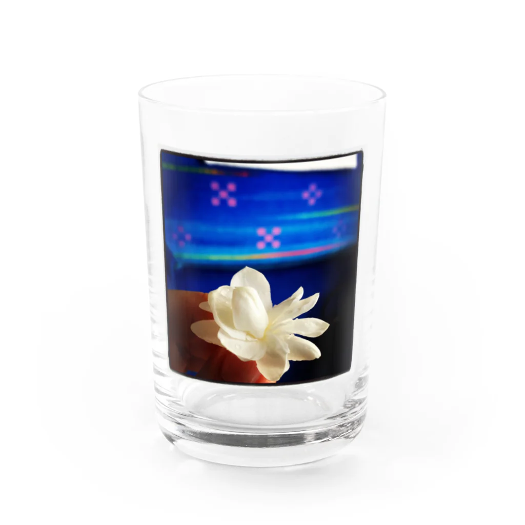 irinanchi_music☆のさんぴん花の旅 Water Glass :front