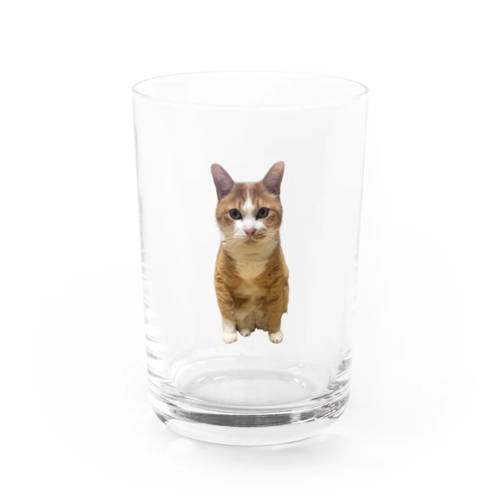 傍若無人のちゃたろうくんのすわりかたがへんなちゃたろうくん Water Glass :front