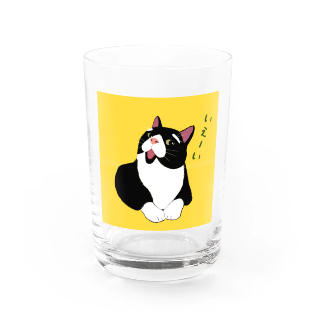 穏やかな猫の穏やかな猫 Water Glass :front