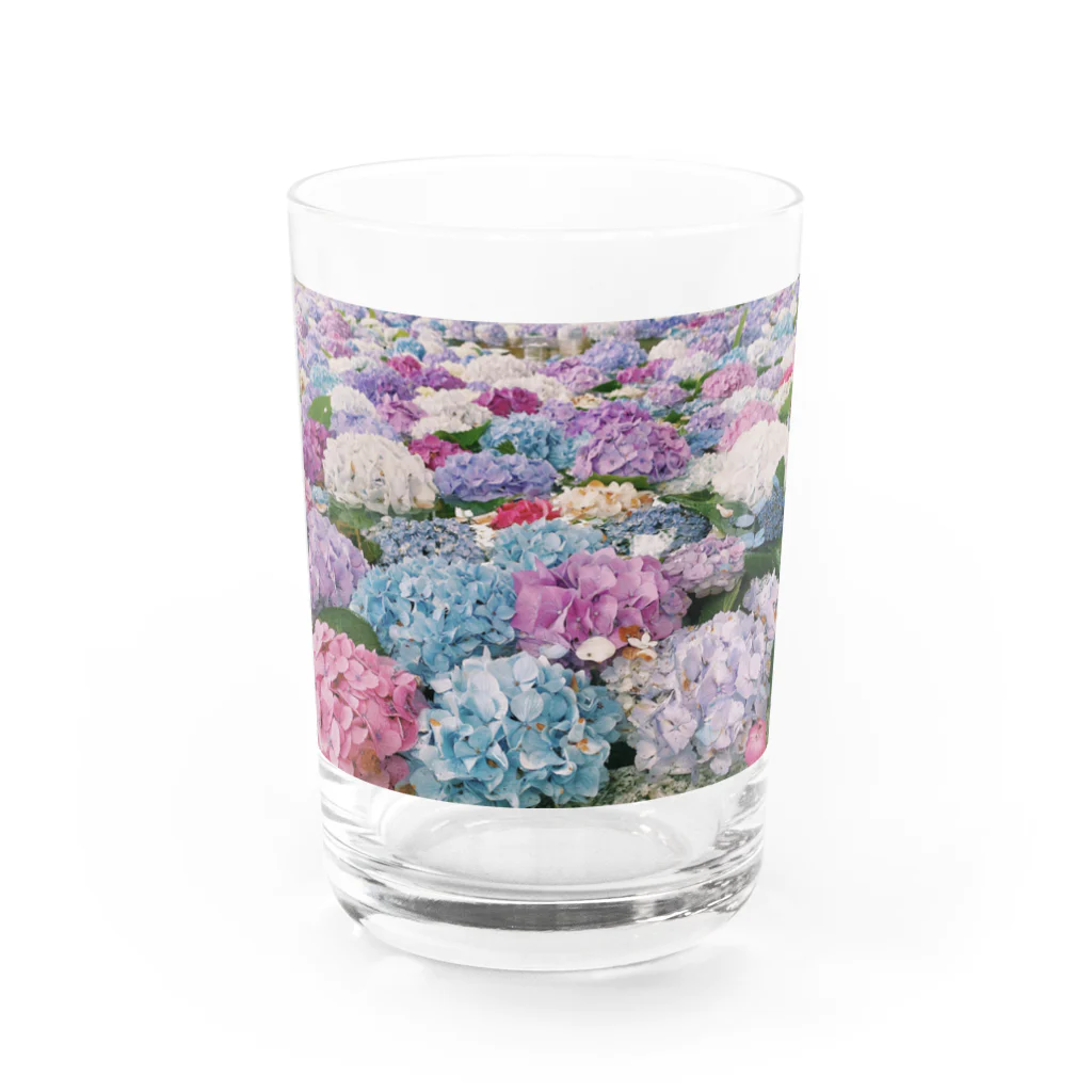 闘牛チャンの涼しげモコモコ Water Glass :front