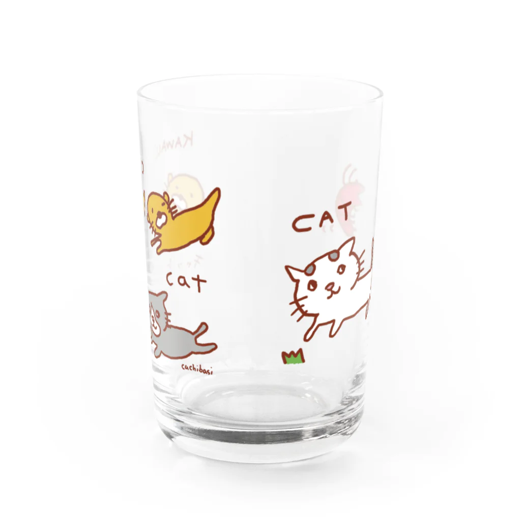 ネコのうーたんになりたいくちばしショップの　かわうそキャットキャットグラス Water Glass :front