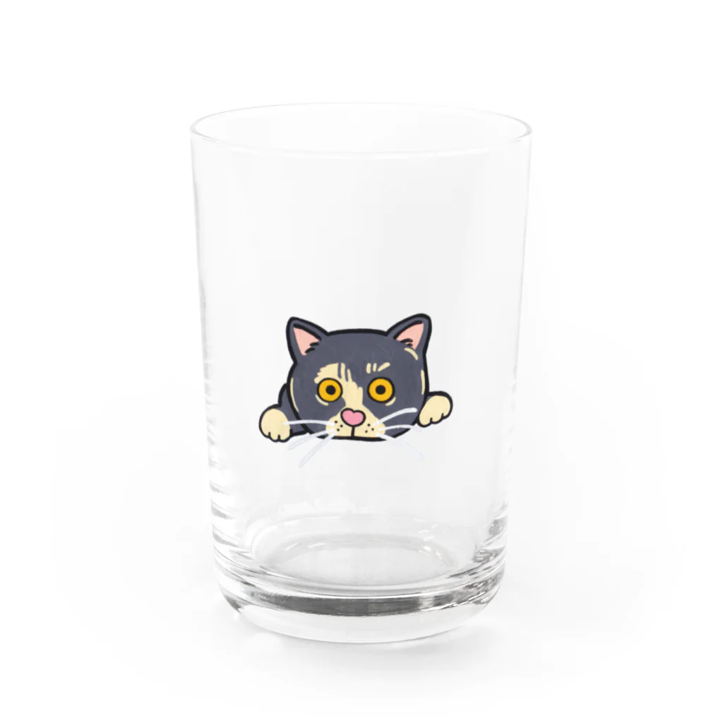 WORLD1グッズショップののぞきねこちゃん Water Glass :front