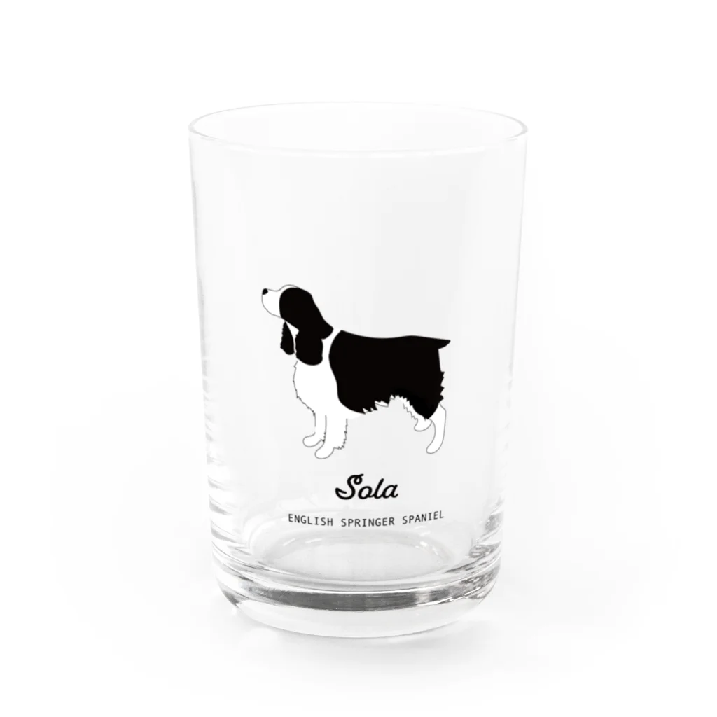 meongmeong（モンモン）の【名入れ】イングリッシュスプリンガースパニエル Water Glass :front