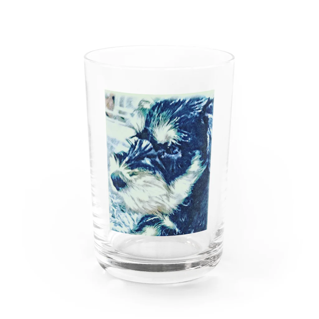 aviorのミニシュナ　E Water Glass :front