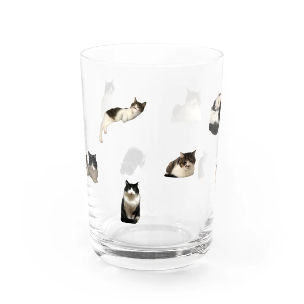 PYDの小柄タロトロ Water Glass :front