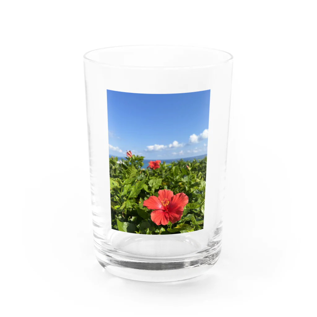 Ripples沖縄レジンアートの沖縄の海とハイビスカス Water Glass :front