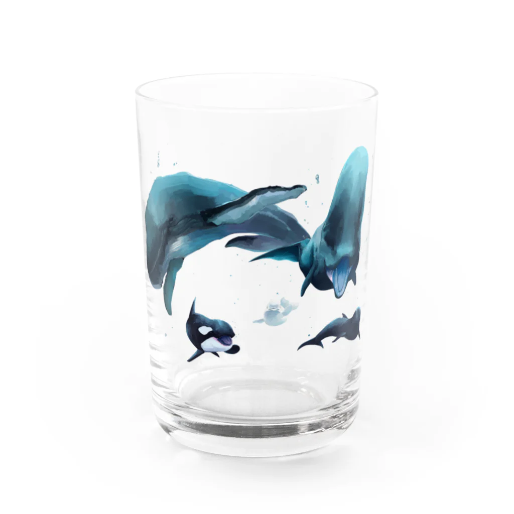 Shachi_のクジラ Water Glass :front