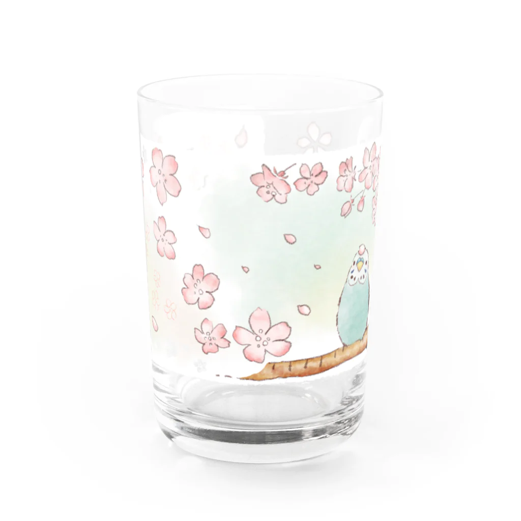 - 羽やすめのトマリ木 -の水色インコさんと春うらら Water Glass :front