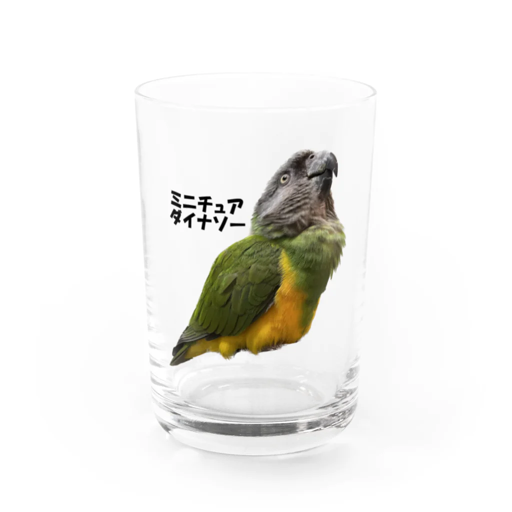 nakakulaaniのミニチュアダイナソー（日本語版）２ Water Glass :front