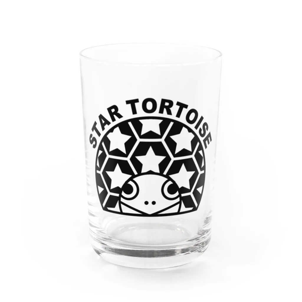 STAR TORTOISEのホシガメ Water Glass :front