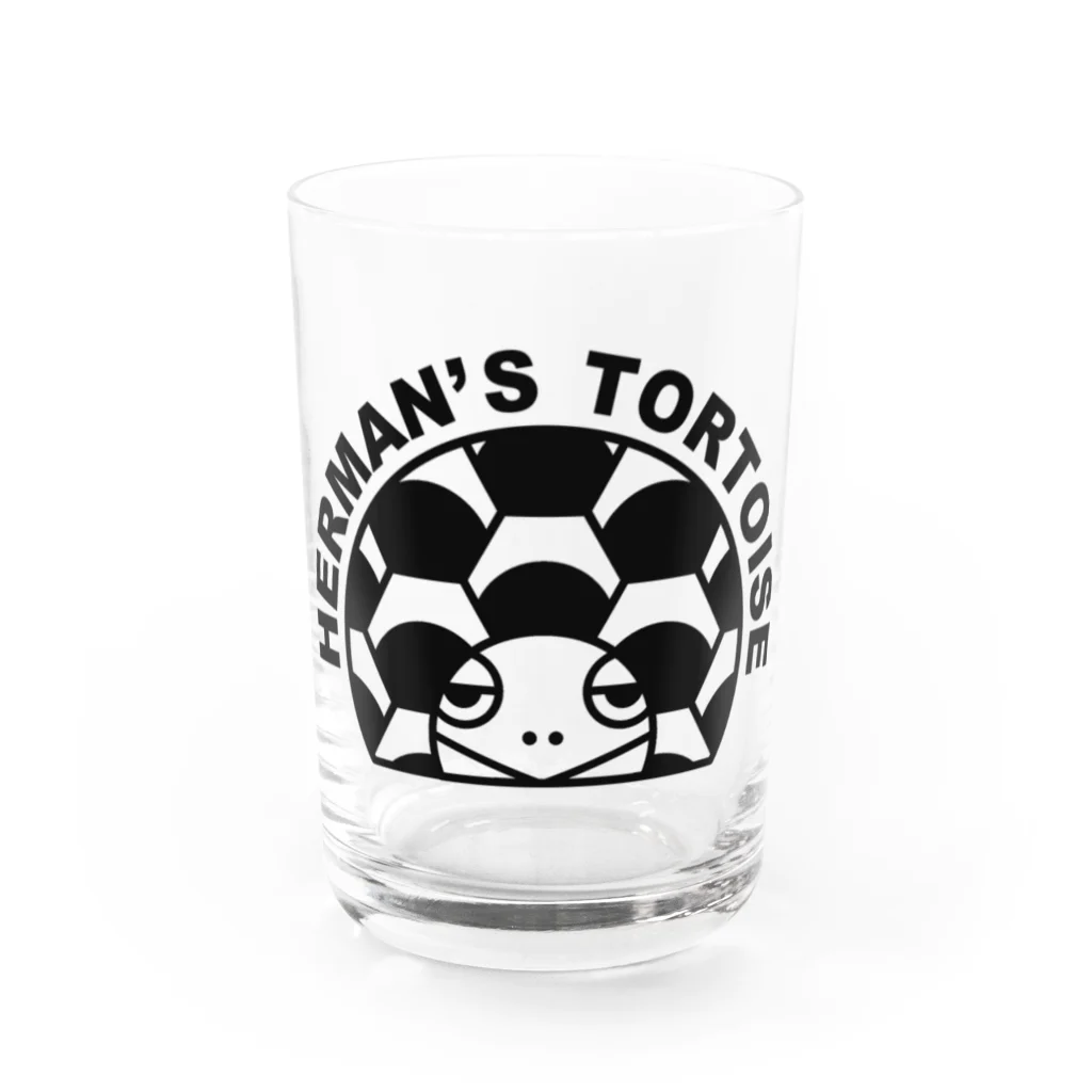 STAR TORTOISEのヘルマンリクガメ Water Glass :front