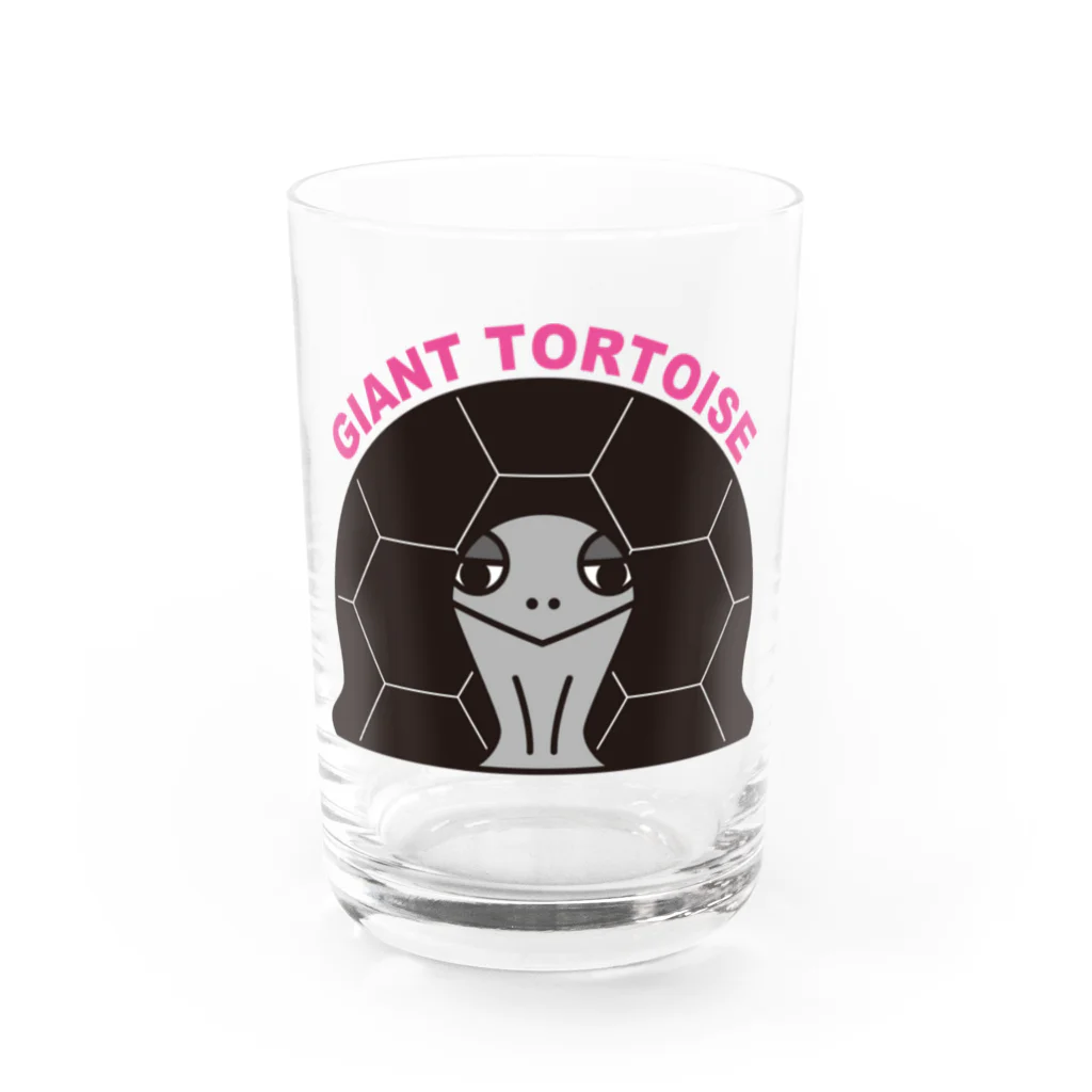 STAR TORTOISEのゾウガメ　カラー Water Glass :front