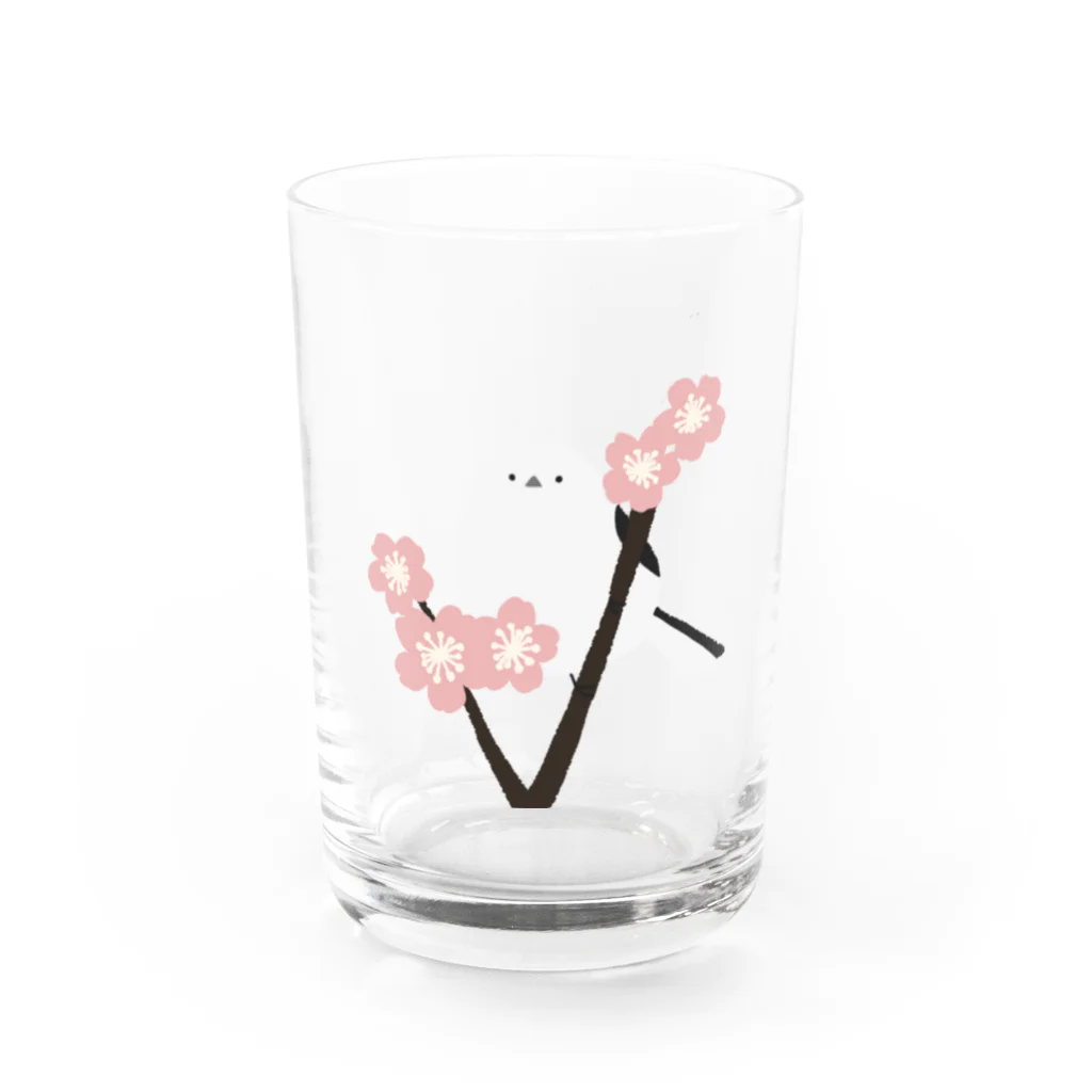 ゆきおのシマエナガと桜 Water Glass :front