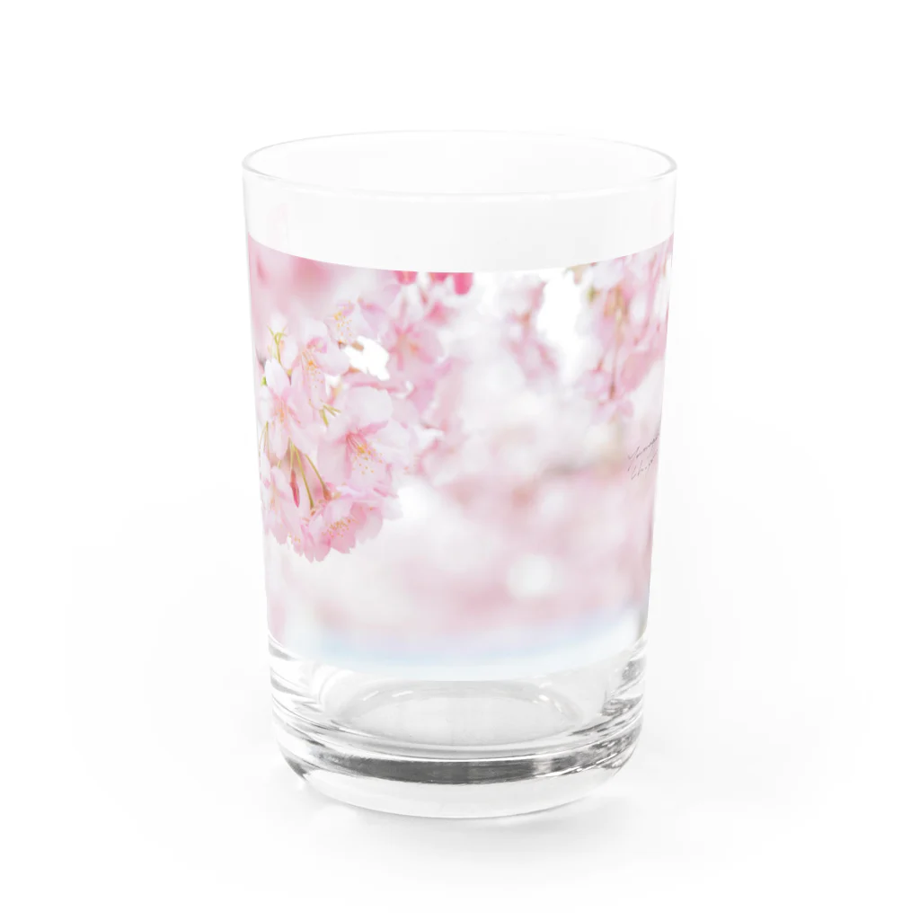 スイーツと深呼吸、時々　ネコのSAKURA Water Glass :front