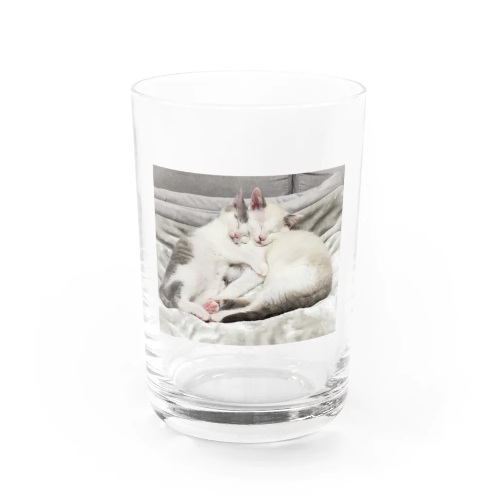 RikuMiku(りくみく）のりくみく（なかよし） Water Glass :front