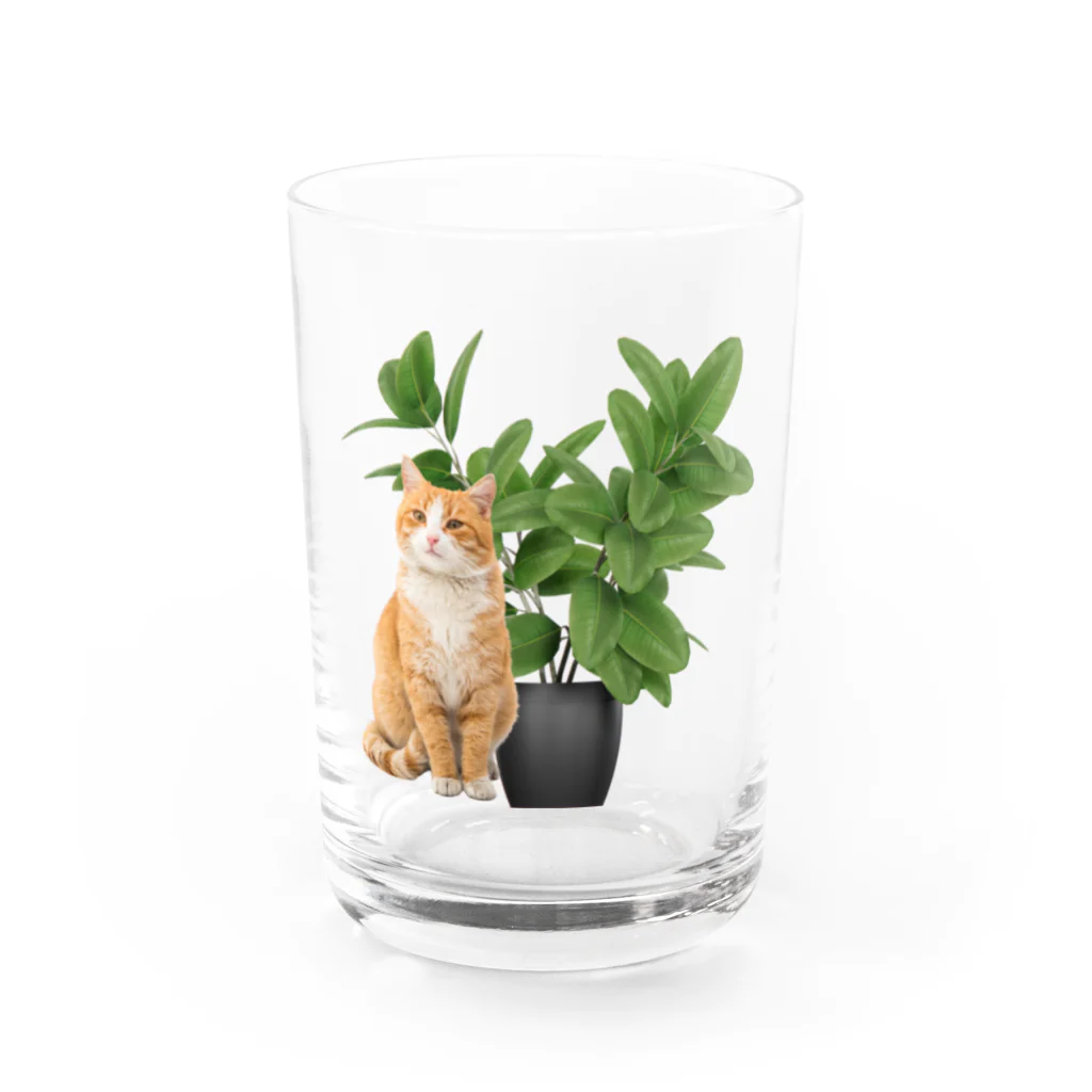 𝙈𝙊𝙈𝙊'𝙨 𝙎𝙝𝙤𝙥の植物とねこ グラス前面