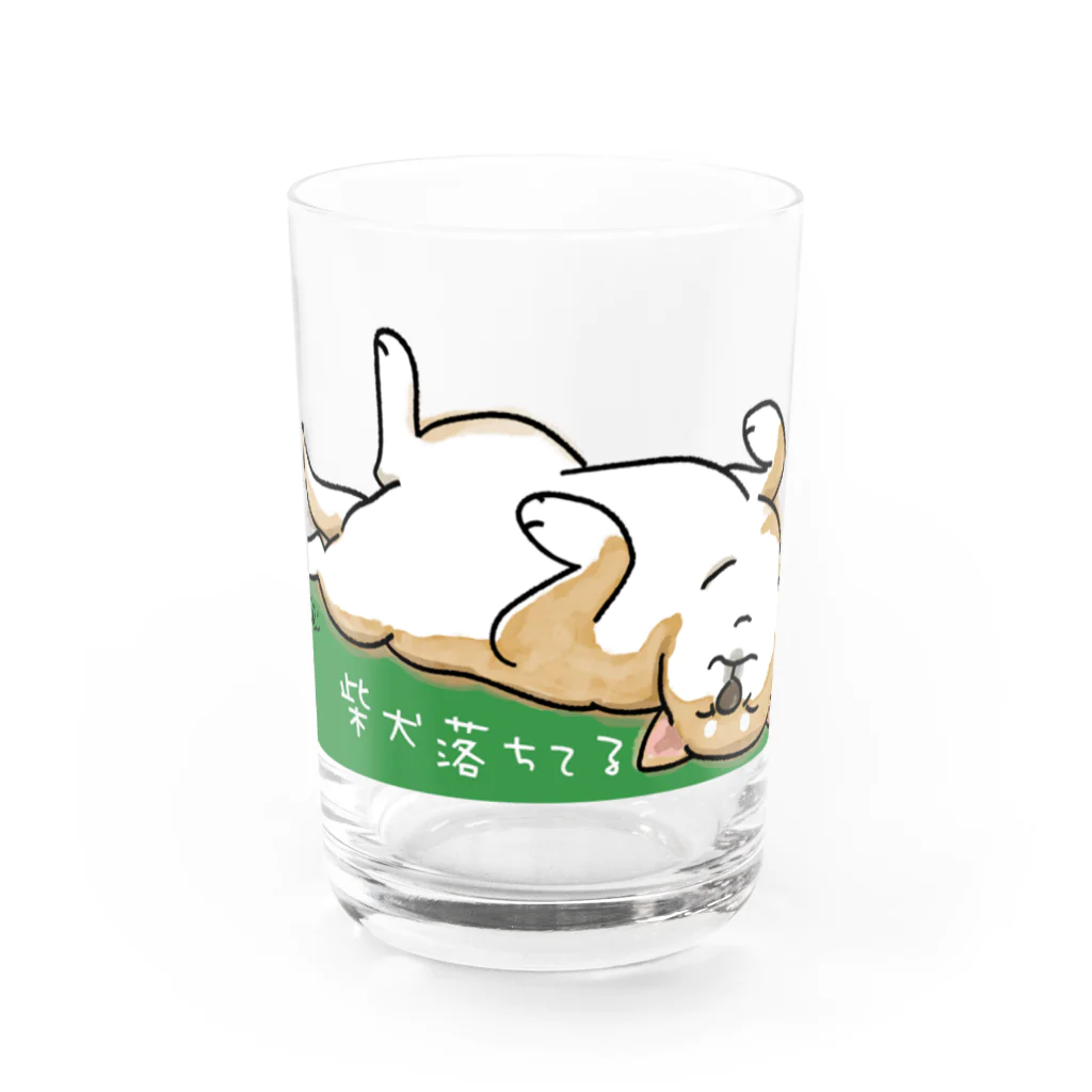 chizuruの柴犬落ちてる（茶）背景グリーン Water Glass :front