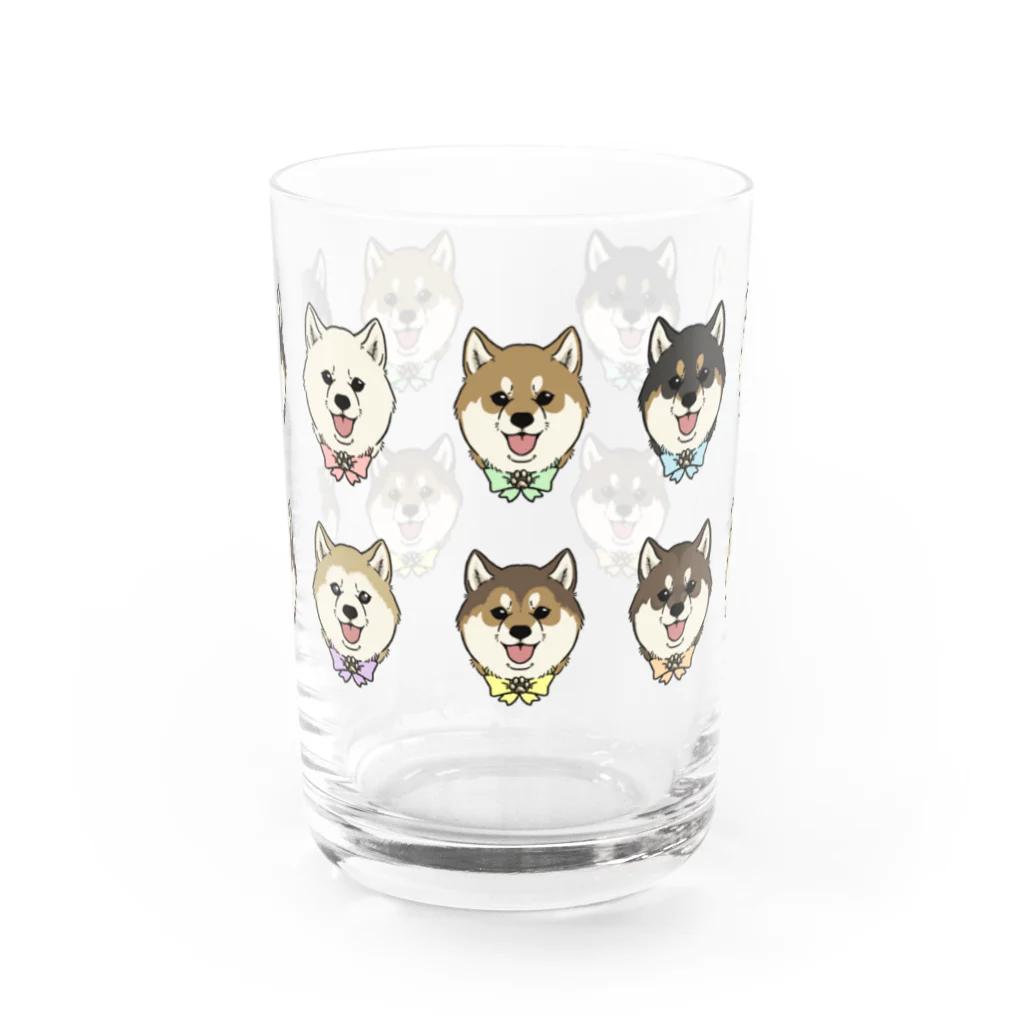 豆つぶのshiba-inu fanciers(集合) Water Glass :front