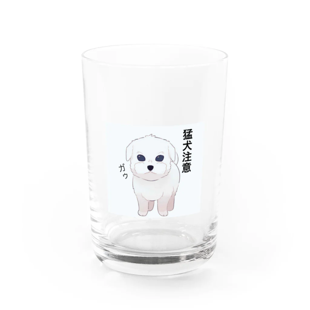 猛犬のマルプーくんの猛犬なつもりのマルプーの社長さん Water Glass :front