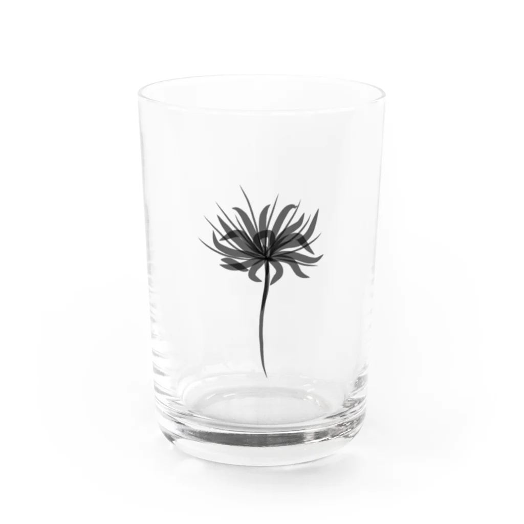 cluster amaryllis.の彼岸花。 Water Glass :front