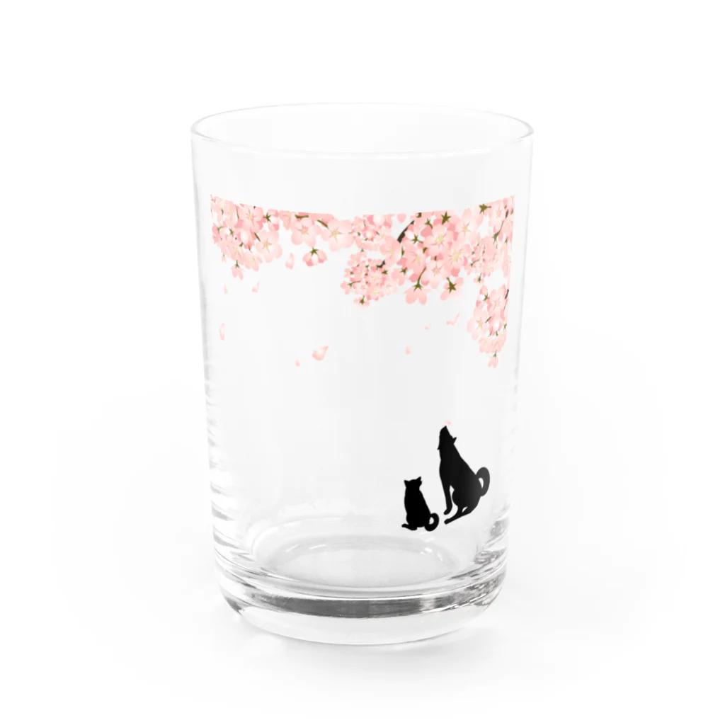 屋根裏部屋の桜とわんこ Water Glass :front