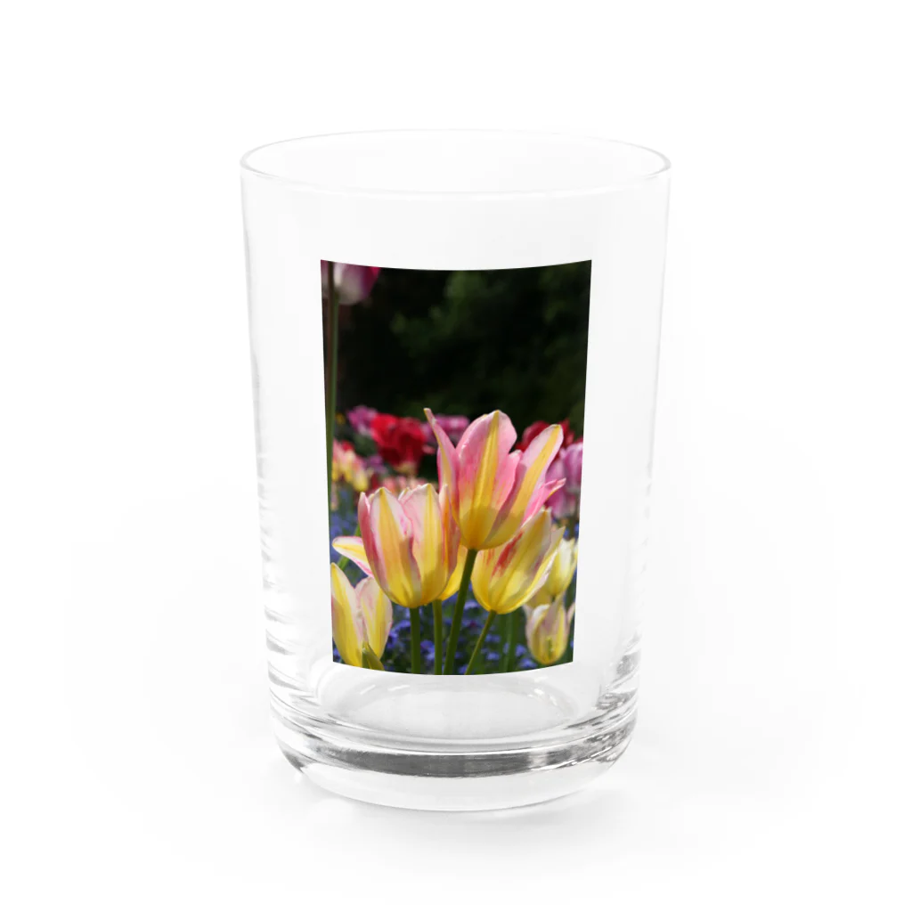 Gallery Crystalのhappy  Water Glass :front
