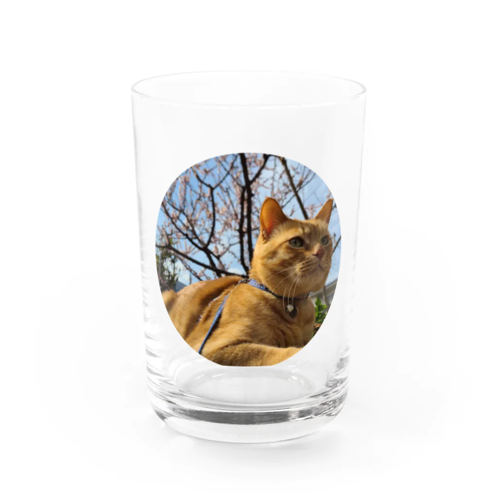 うちの末っ子画伯の猫ですかね Water Glass :front