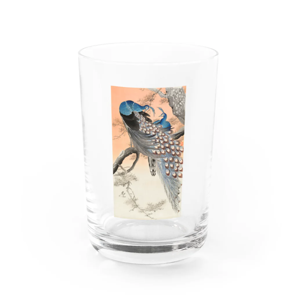 MUGEN ARTの小原古邨　二羽の孔雀　Ohara Koson / Two peacocks on tree branch Water Glass :front